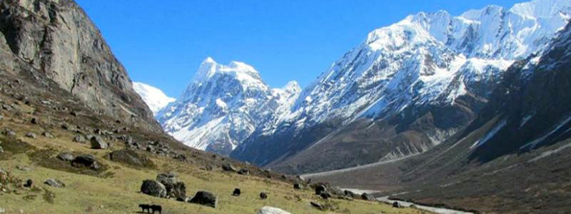 Panoramic Langtang valley